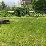 Affittacamere Acrotel Sofia's 3*