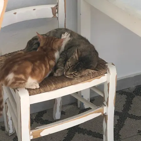 Acrotel Sofia's Pensionat