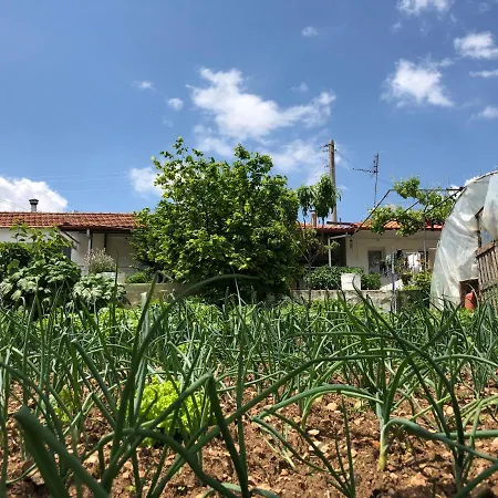 Pensionat Acrotel Sofia's 3*