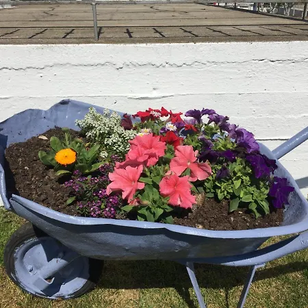 Pensionat Acrotel Sofia's Sidheras