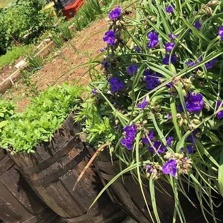 Pensionat Acrotel Sofia's Sidheras