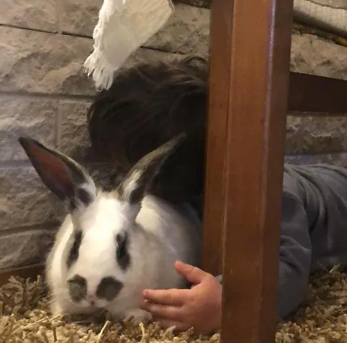 Gasthof Acrotel Sofia's Sidheras