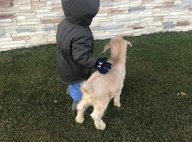 Gasthof Acrotel Sofia's