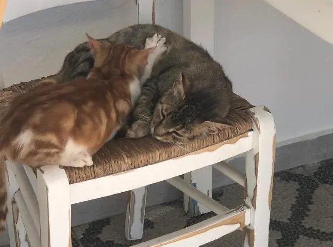 Acrotel Sofia's Gasthof