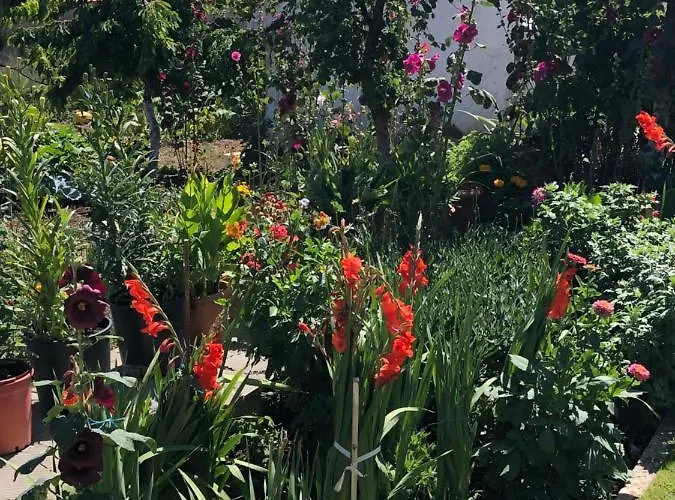 Acrotel Sofia's Gasthof 3*