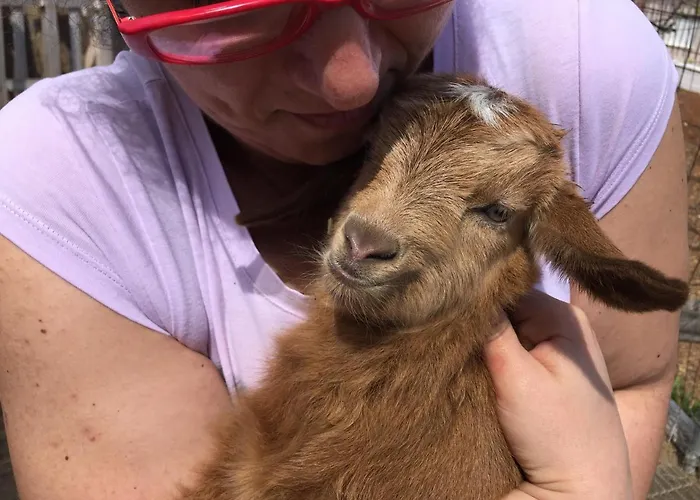 Acrotel Sofia's Gasthof 3*