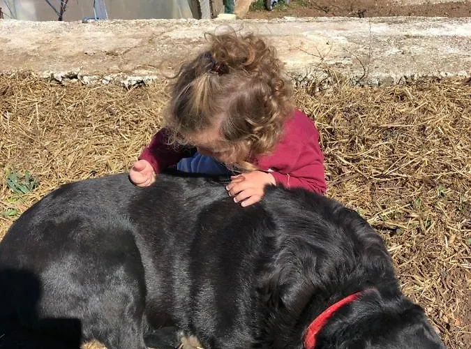 Acrotel Sofia's Gasthof Sidheras