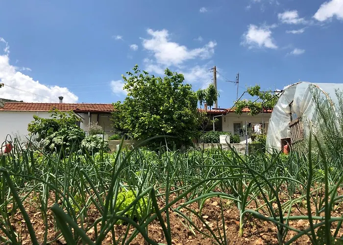 Gasthof Acrotel Sofia's 3*