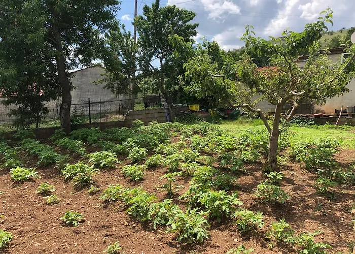 Acrotel Sofia's Gasthof