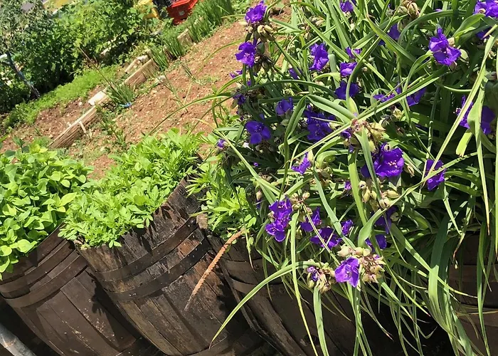 Gasthof Acrotel Sofia's Sidheras