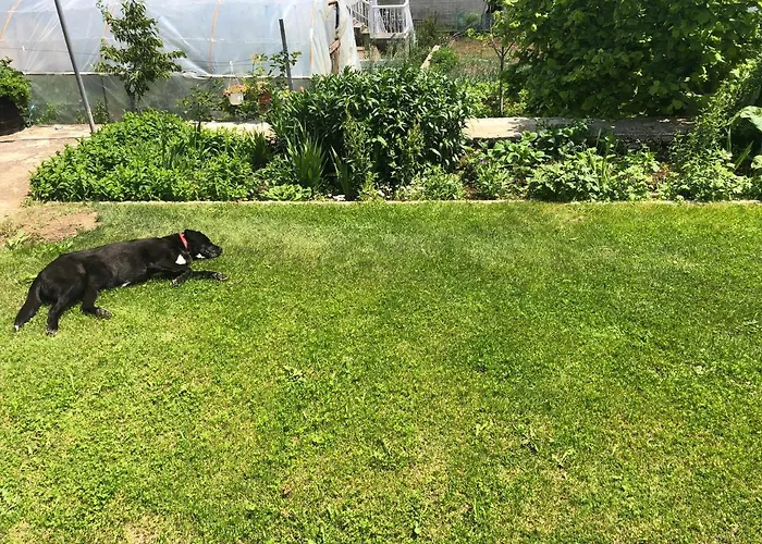 Gasthof Acrotel Sofia's 3*